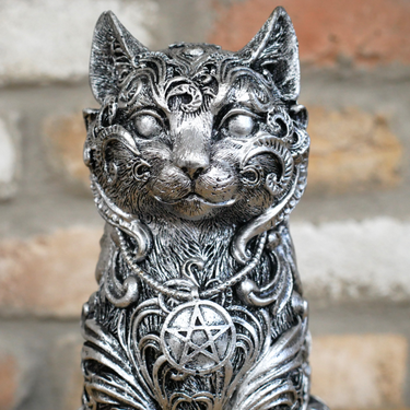 Witchcraft Cat