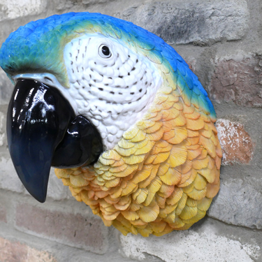 Parrot Head