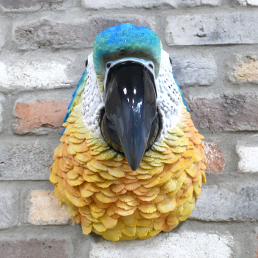 Parrot Head
