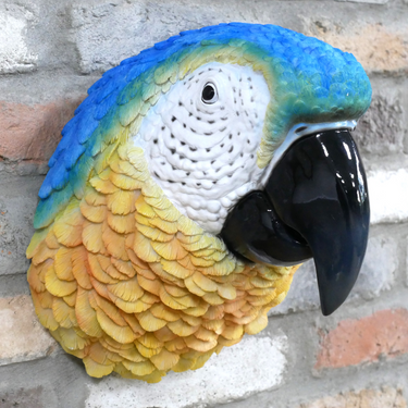 Parrot Head