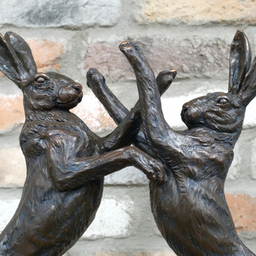Fighting Hares