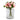Single Pink Dahlia Stem