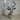 Deer Head