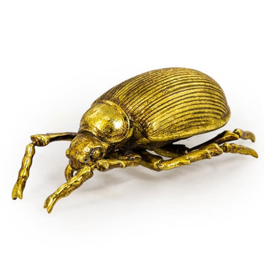 Large Gold Beetle Wall Decoration