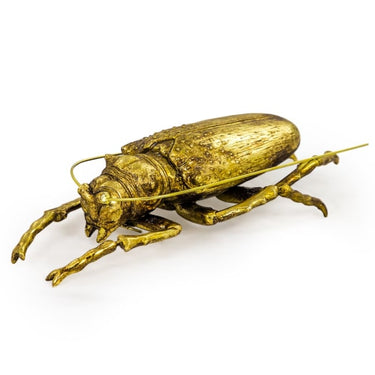 Large Gold Beetle Wall Hanging
