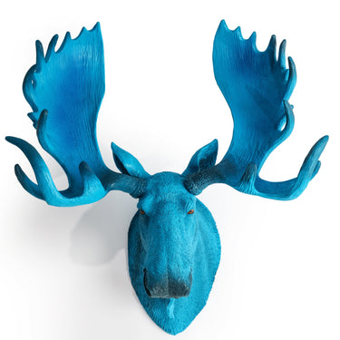 Electric Blue Moose Wall Head