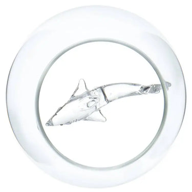 Shark in A Glass