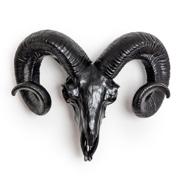 Matt Black Ram Skull Wall Head