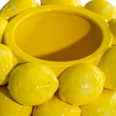 Ceramic Multi Lemon Bowl / Vase
