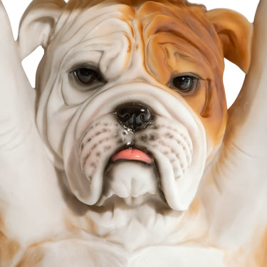 Bulldog Holding trunk Slice Side Table
