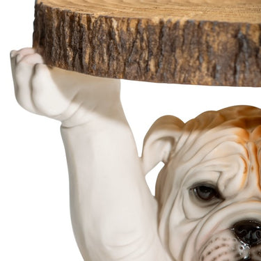 Bulldog Holding trunk Slice Side Table