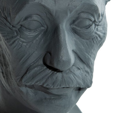 ALBERT EINSTEIN HEAD ORNAMENT / HEADSET HOLDER