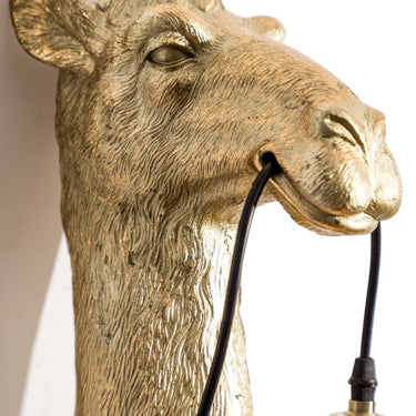 Gold Camel Head Wall Lamp
