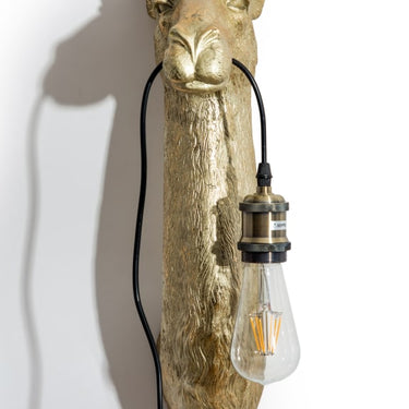Gold Camel Head Wall Lamp