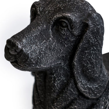 Black Dog Bench