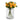 Single Gold Dahlia Stem