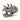 Triceratops Skull Table Decor