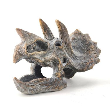 Triceratops Skull Table Decor