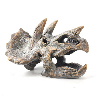 Triceratops Skull Table Decor