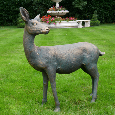 Standing Deer