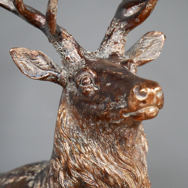 Bronze Stag