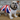 Standing British Bulldog