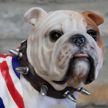 Standing British Bulldog