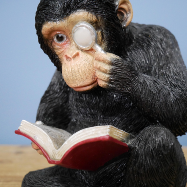 Monkey Bookends