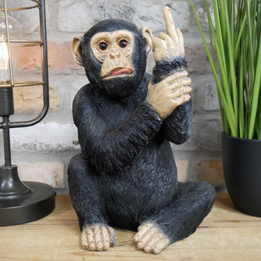 Black Naughty Monkey