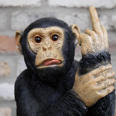 Black Naughty Monkey