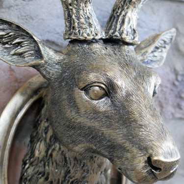 Stag Head