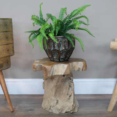 Root Side / Plant Stand
