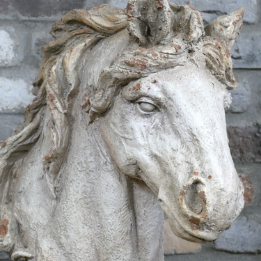 Horse Head