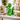Large Electro Green Balloon Dog