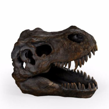 T-Rex Skull Table Decor