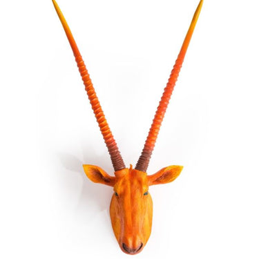 ATOMIC ORANGE ANTELOPE WALL HEAD