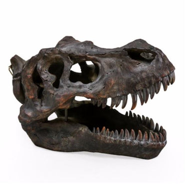 Large T-Rex Skull Wall Head