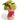 Large Ceramic Bow-Tied Bouquet Vase