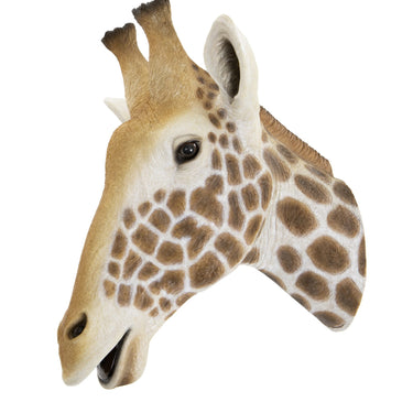 Giraffe Head