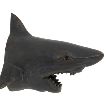 Shark Head