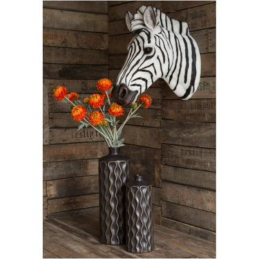 Zebra Head