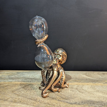 Octopus Hourglass