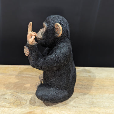 Black Naughty Monkey Medium