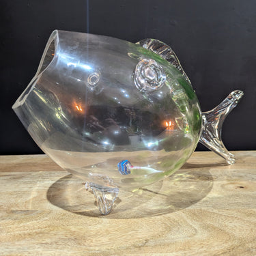 Big Mouth Glass Fish