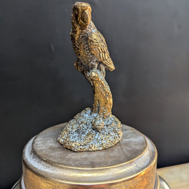 Bird Jar