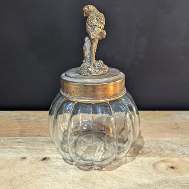 Bird Jar