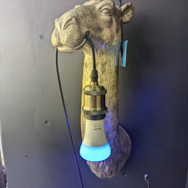 Gold Camel Head Wall Lamp