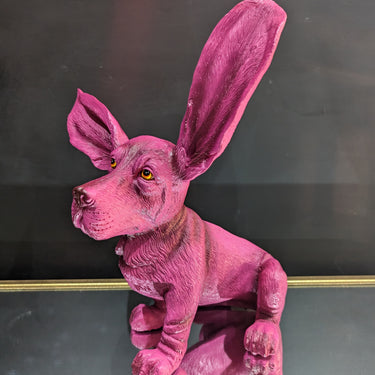 Purple Surprised Basset