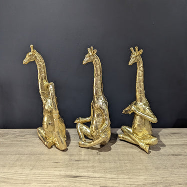 Set Of 3 Yoga Giraffes