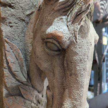 Horse Head